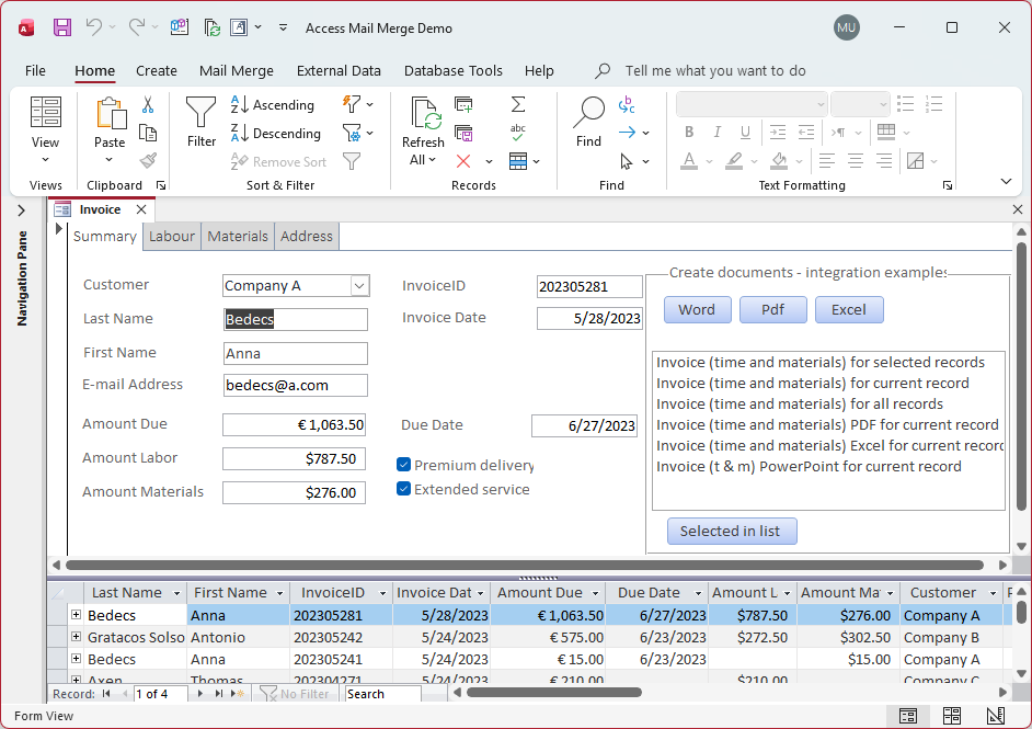 ms access demo database
