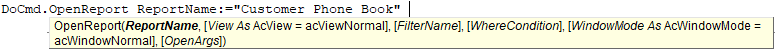 Builder Open Report parameter info also shows defaults